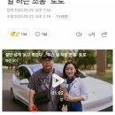 역겨워요 '영포티'...2030 거센 반감 이미지