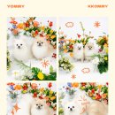 스튜디오루아스