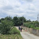 도리1리 이미지