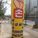 넘버원셀프세차타운 이미지