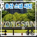 신영빌딩R&M | 용산 스냅 사진 A7R6 + 탐론 25-200