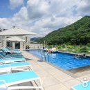 비브릿지 이미지