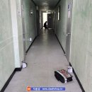 설악지물