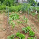 흥덕농장 이미지