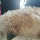 탑아산내과의원 이미지