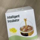 청계농장 | 가정용 병아리 부화기 사용후기 | 청계알 부화 1일차부터 병아리 탄생까지