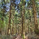 바모스하우스 | 제주도 여행_2박3일 둘쨋날_한라산 백록담 정상 등반! (/w 한라산 예약 방법, 탐방로, 등정 인증서 받는...