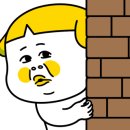 소고배 이미지