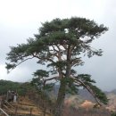 산내면 반선마을 이미지