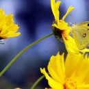 함평군립도서관 이미지