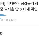 이번 서울시장 선거의 아이러니 이미지