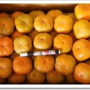 남일농장 이미지