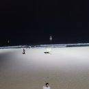 팔레드시즈콘도