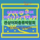 주식회사 애보여행사 | 송도컨벤시아 관상어파충류박람회 다녀왔습니다. 주말 행사 방문 후기