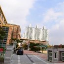 도선체육관 이미지