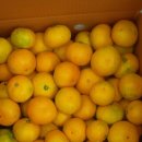 종철농장 이미지