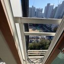 브라운빌 이미지