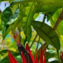 레드시크릿 이미지