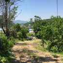 군내부동산공인중개사사무소 이미지