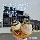 여수 모사금 해변을 그대로 즐길 수 있는 디저트 맛집 오말리 카페 후기 🌭