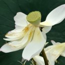 신평저수지 이미지