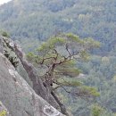 경남 합천 의룡산(481m)..악견산(634m)~... 이미지