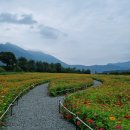 가조힐링랜드 이미지