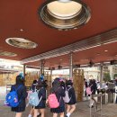 영화더빙쇼 <자유결혼> | 유니버셜 재팬 1.5일권으로 인기 놀이기구 다 탄 후기 (익스프래스 패스권 X)