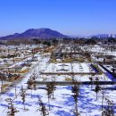 호수공원,중앙공원 이미지