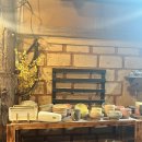 옛온천골 이미지