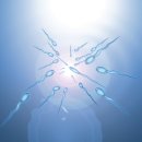 정자한의원 이미지