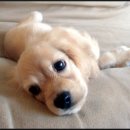 마음부동산중개 이미지