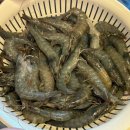 까사로마 풀빌라펜션 이미지