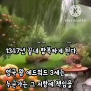 The Burghers of Calais(Noblesse Oblige) 이미지