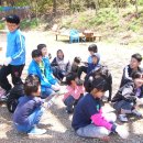 용인대백호체육관 이미지