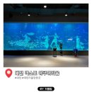 유러베이커리 | 대전 신세계백화점 엑스포 아쿠아리움 내돈내산 이용후기