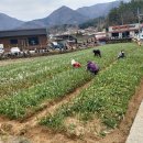 창선서울치과의원 이미지