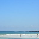 하도하도1929 이미지