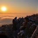 일출로2 이미지