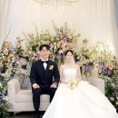 라루체 티스토리