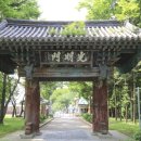 외산 무량사 부도군 이미지