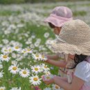 (주)궁평캠프 | 경기도 화성 아이와가볼만한곳 15곳