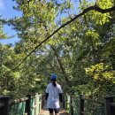 평촌부부한의원 | 시험관 고차수 성공후기(신선9차, 동결1차) 정계정맥류 남성난임 시험관 성공후기