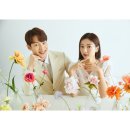 스튜디오23