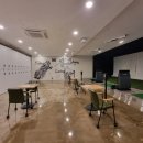 티엘티 바디킹 이미지