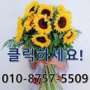 정＆수 메디칼 이미지