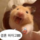 월드크리닝방어점 | 반지 원정대의 웨딩 밴드 투어) 청담 디자이너 웨딩링 : 프릿 / 누니주얼리 / 아크레도 / 레브가