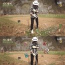 세농부 티브이데일리