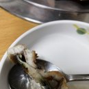 풍천장어와부산꼼장어 이미지