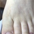 뷰티푸스캣츠